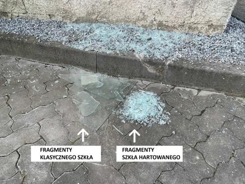 szklarnia ogrodowa VITAVIA FORTUNA srebrna