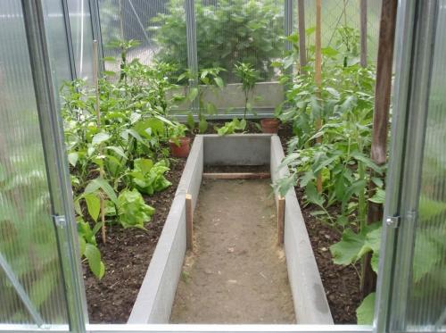 szklarnia LANITPLAST LIMES Viva V6/2 1,97x2 m PC 6 mm