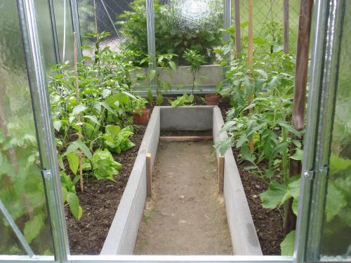 szklarnia LANITPLAST LIMES Viva V6/3 1,97x3 m szkło 3 mm