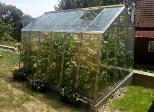 szklarnia LANITPLAST LIMES Viva V7/3 2,47x3 m szkło 3 mm