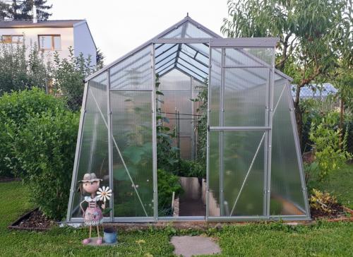 szklarnia LANITPLAST LIMES Viva V7/6  2,47x5,95 m PC 6 mm